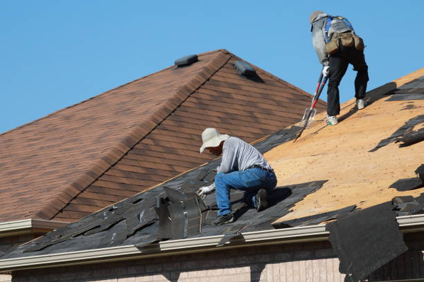 Best Roof Ventilation Installation  in Watkinsville, GA